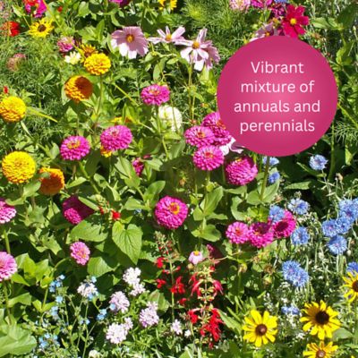 Image showing 9 th Earth Science Butterfly and Hummingbird All-in-One Wildflower Seed Mix, Plant Food, Soil Conditioners & Water Right Crystals