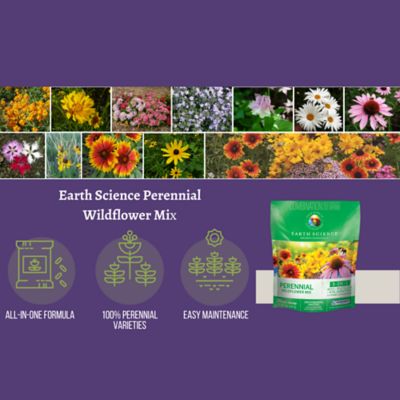 Image showing  Perennial All-in-One Wildflower Mix with Seed, Plant Food, Soil Conditioners and Water Right Crystals