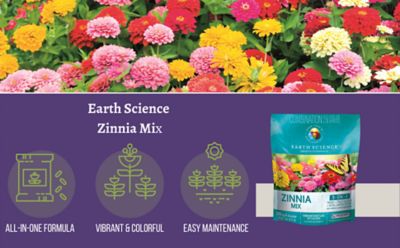 Image showing  Zinnia All-in-One Flower Mix with Seed, Plant Food, Soil Conditioners and Water Right Crystals