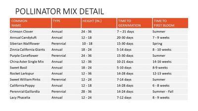 Image showing  Pollinator All-in-One Wildflower Mix with Seed, Plant Food, Soil Conditioners and Water Crystals