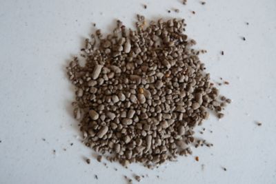 Image showing  Wildflower Bouquet All-in-One Flower Mix with Seed, Plant Food, Soil Conditioners and Water Right Crystals