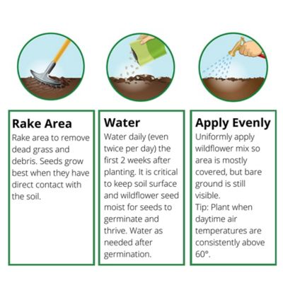 Image showing  Wildflower Bouquet All-in-One Flower Mix with Seed, Plant Food, Soil Conditioners and Water Right Crystals
