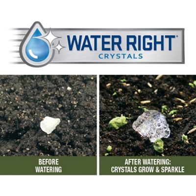 Image showing 8 th Earth Science Wildflower Bouquet All-in-One Flower Mix with Seed, Plant Food, Soil Conditioners and Water Right Crystals