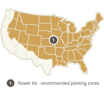 Image showing 9 th Earth Science Wildflower Bouquet All-in-One Flower Mix with Seed, Plant Food, Soil Conditioners and Water Right Crystals