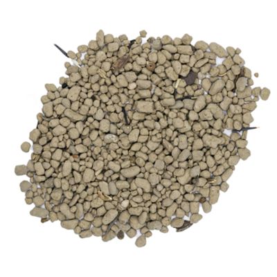 Image showing  Shady All-in-One Wildflower Mix with Seed, Plant Food, Soil Conditioners and Water Right Crystals