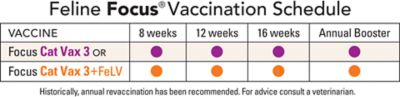 Image showing  Focus Vax 3 Plus FeLV Vaccine for Cats with Syringe, 1 Dose