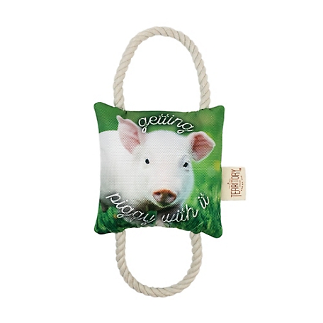 Territory Getting Piggy Two-Way Tug Dog Toy