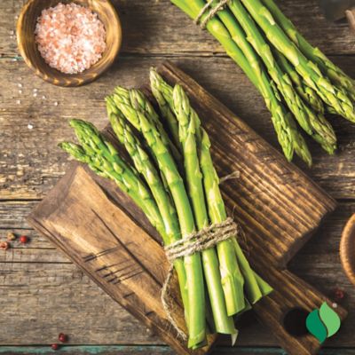 Image showing  Asparagus Mary Washington