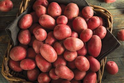Image showing  Potato Red Norland 4lbs.