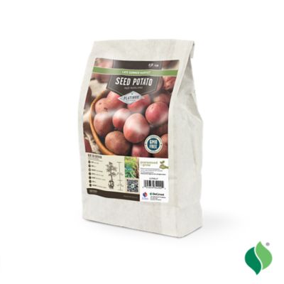 Image showing  Potato Red Norland 4lbs.