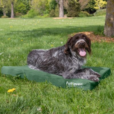 Image showing  Logo Oxford Indoor/Outdoor Deluxe Orthopedic Mattress Pet Bed