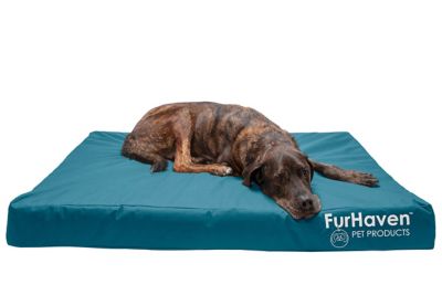 FurHaven Logo Oxford Indoor/Outdoor Deluxe Memory Foam Mattress Dog Bed