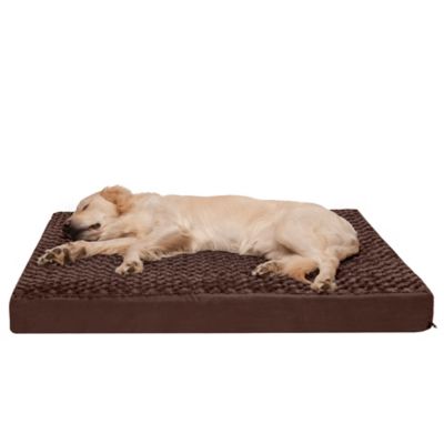 Orthopedic Dog Beds