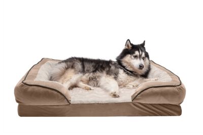 FurHaven Velvet Waves Perfect Comfort Memory Top Sofa Dog Bed at ...