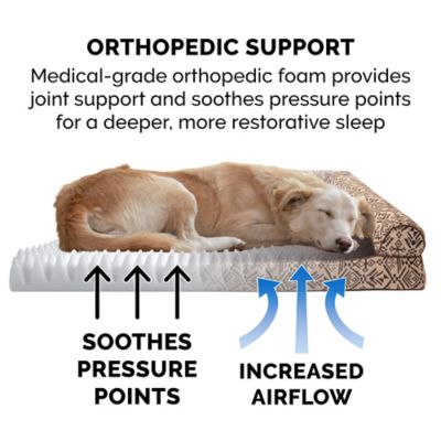 Image showing  Southwest Kilim Orthopedic Sofa Dog Bed