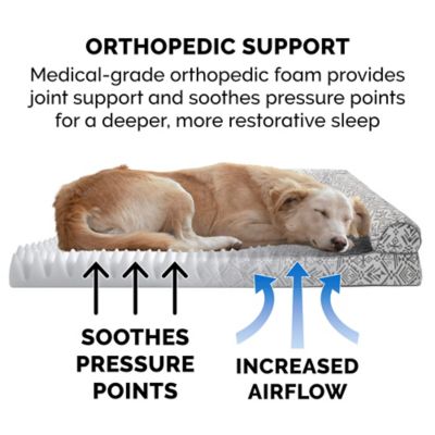 Image showing  Southwest Kilim Orthopedic Sofa Dog Bed