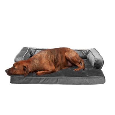 Image showing  Plush and Velvet Memory Top Comfy Couch Dog Bed