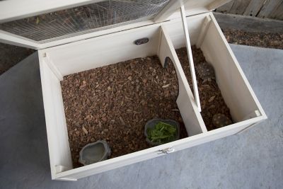 Image showing  Sonoran Tortoise House, Made with ECOFLEX
