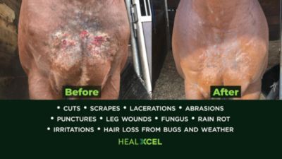 Image showing  Swine Wound Spray, 16 oz.