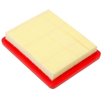 Image showing  Walks Air Filter for T-B Engines