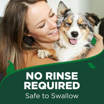 Image showing  Dental Care Kit with Toothbrush and Gel 3.5 oz.