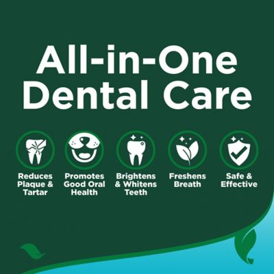Image showing 5 th Vet's Best Dental Care Kit with Toothbrush and Gel 3.5 oz.