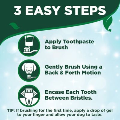Image showing 6 th Vet's Best Dental Care Kit with Toothbrush and Gel 3.5 oz.