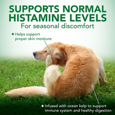 Image showing  Seasonal Allergy Soft Chewable Supplements for Dogs, 30 ct.