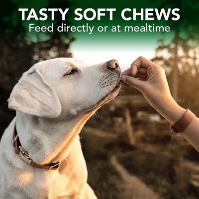 Image showing  Seasonal Allergy Soft Chewable Supplements for Dogs, 30 ct.
