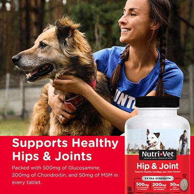 Image showing  Hip & Joint Extra Strength Chewables 120 Count