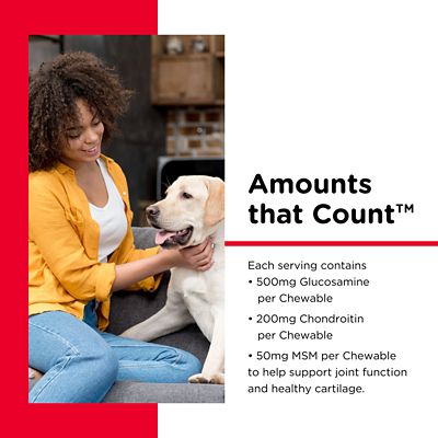 Image showing 5 th Nutri-Vet Hip & Joint Extra Strength Chewables 120 Count