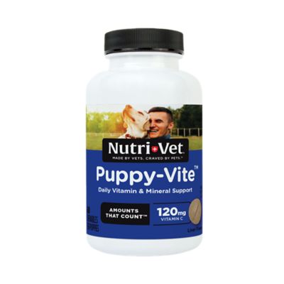 Nutri-Vet Puppy Vite Chewables, 60 ct.