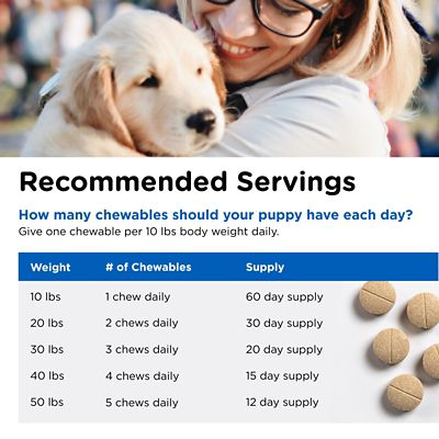 Image showing  Puppy-Vite Chewable Daily Vitamin and Mineral Support for Dogs, 60 ct.