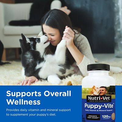 Image showing  Puppy-Vite Chewable Daily Vitamin and Mineral Support for Dogs, 60 ct.