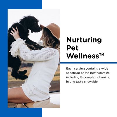 Image showing 5 th Nutri-Vet Puppy-Vite Chewable Daily Vitamin and Mineral Support for Dogs, 60 ct.