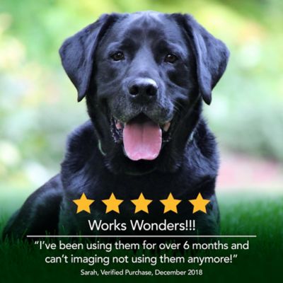 Image showing 5 th Vet's Best Seasonal Allergy Support Dog Supplement