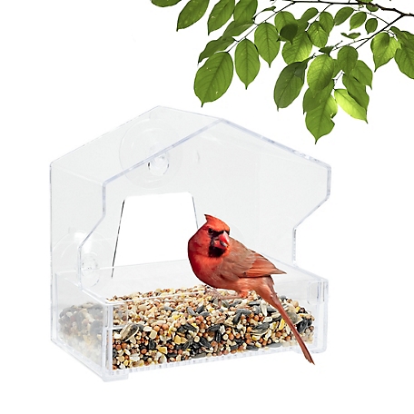 Clear Acrylic Window Bird Feeder Wild Bird Feeder Bird Feeder Hanging Bird  House Including Strong Suction Cups for Indoor Bird Watching Garden
