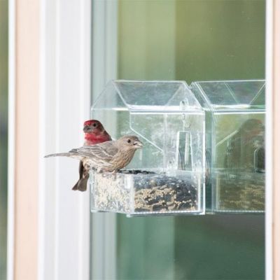 Image showing  1/2 lb. Window-Mount Bird Feeder