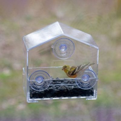 Image showing 8 th Perky-Pet 1/2 lb. Window-Mount Bird Feeder