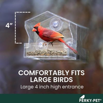 Image showing 11 th Perky-Pet 1/2 lb. Window-Mount Bird Feeder