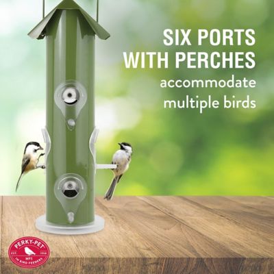 Image showing  1 lb. 6-Port Metal Tube Wild Bird Feeder, Green