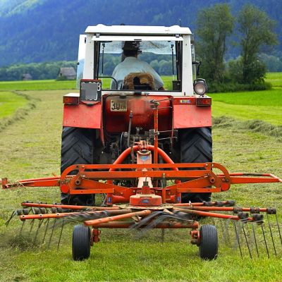 Image showing  16x6.50-8 4 Ply Rib Tire and 4 on 4 Stamped Wheel Assembly