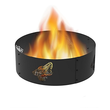 Blue Sky Outdoor 36 in. Arizona Coyotes Decorative Steel Round Fire Ring