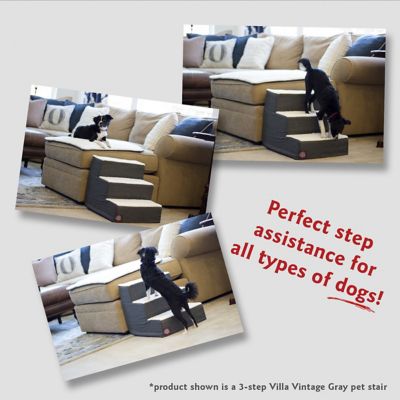 Image showing  Villa 3-Step Pet Stairs