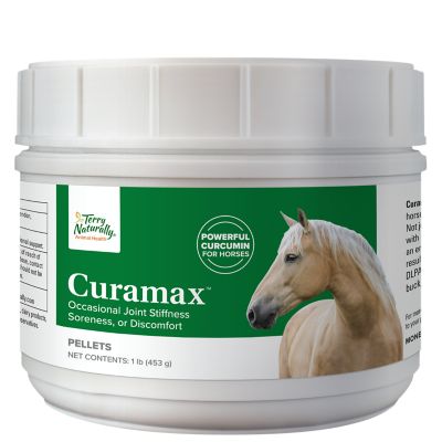 Terry Naturally Animal Health Curamax Powerful Curcumin Horse Supplement, 0.8313 lb.