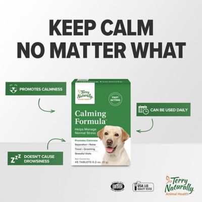Image showing  Calming Supplement Tablets for Dogs, 45 ct.