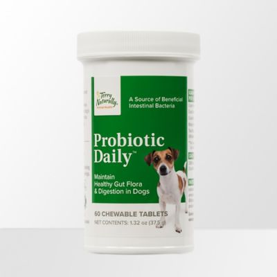 Terry Naturally Animal Health Probiotic Daily Soft Chew Digestive Support Supplement for Dogs, 0.1875 lb., 60 ct.