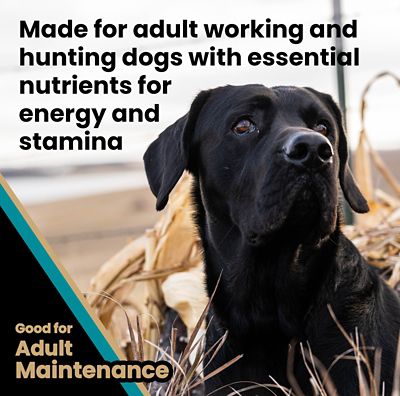 Image showing  Realtree MAX-5 PRO Adult Beef Recipe Dry Dog Food, 40 lb. Bag