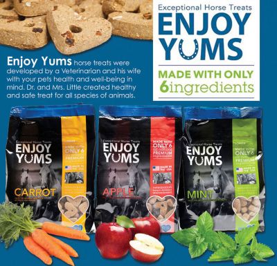 Image showing  Apple Flavor Horse Treats