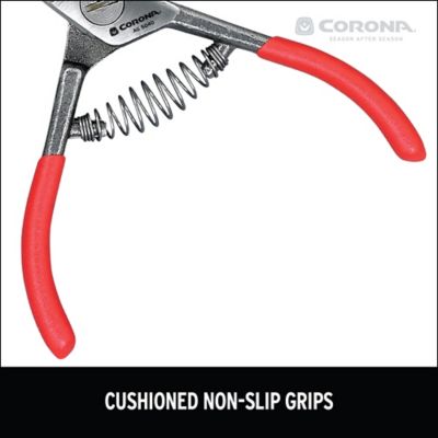 Image showing  Avocado Shears